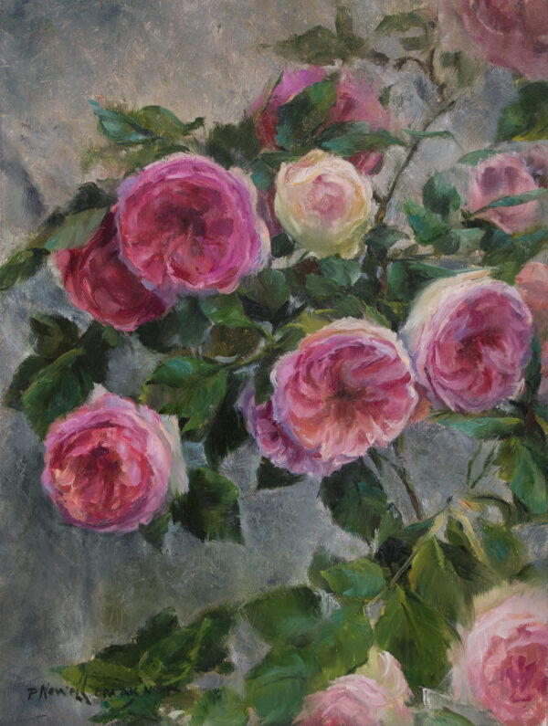 Pierre De Rosard Roses