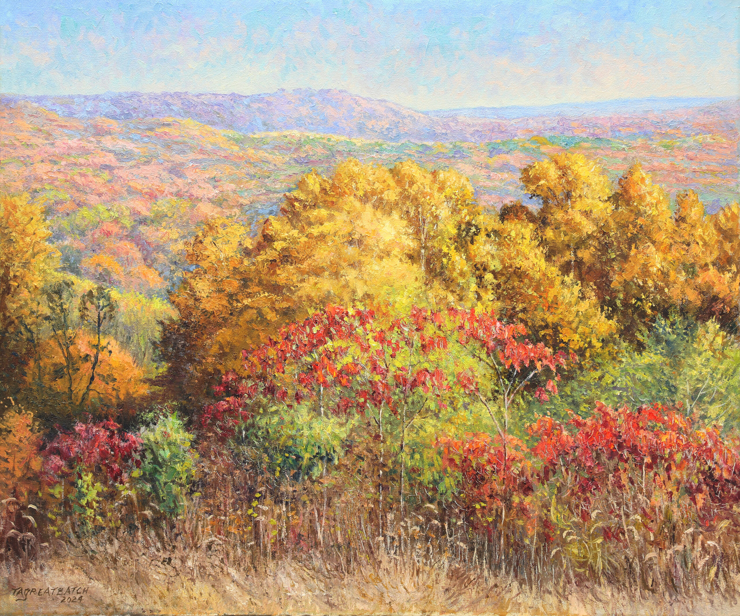 Tim Greatbatch Hohen Point Vista